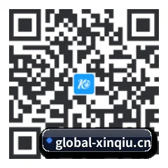 苹果版 iOS 二维码